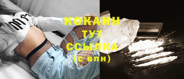 spice Богданович