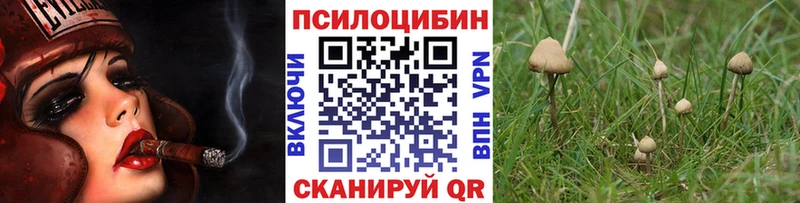 ссылка на мегу tor  Бежецк  Галлюциногенные грибы GOLDEN TEACHER 
